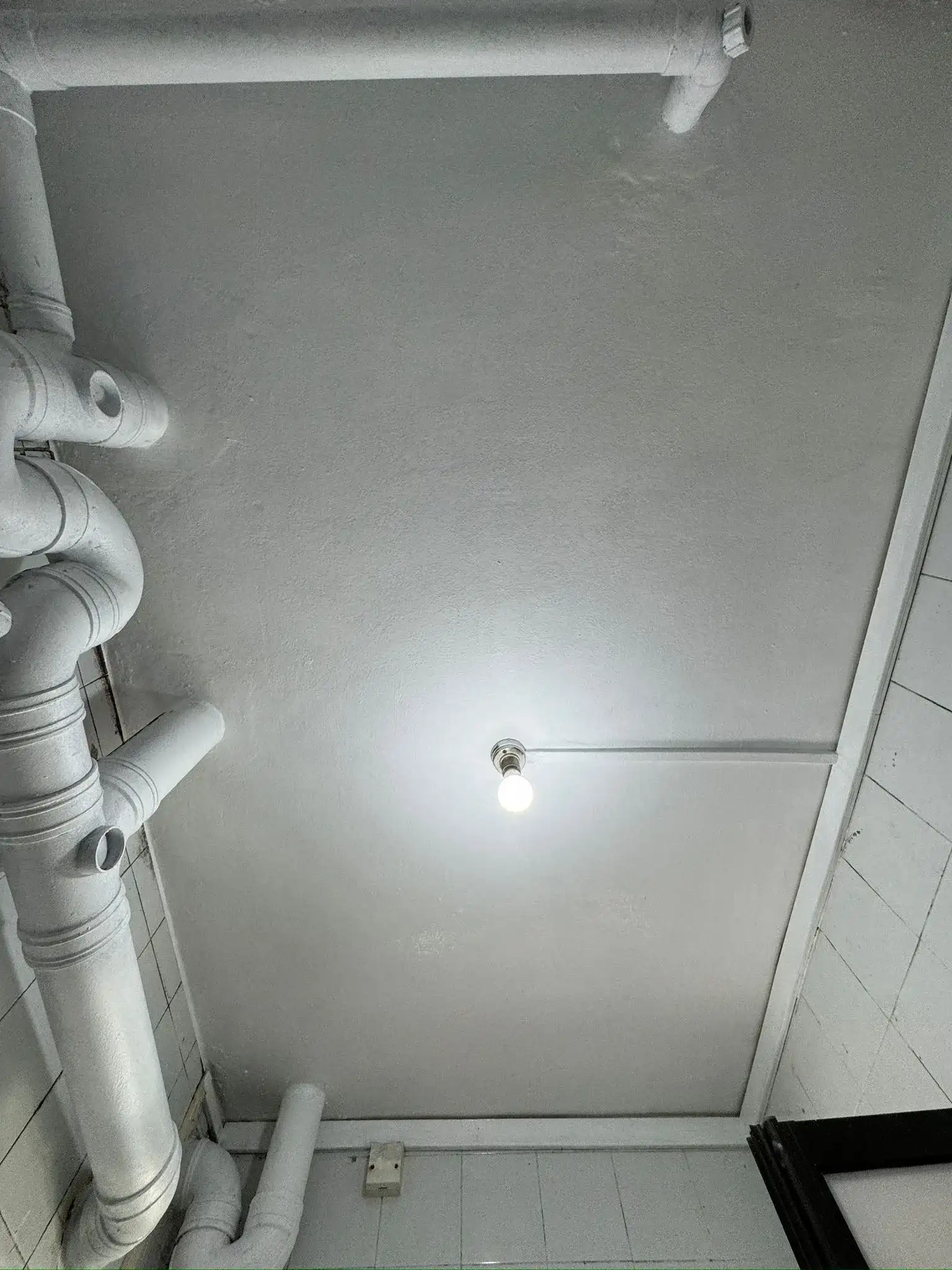 Clean ceiling with pipes after Mold Defense treatment
