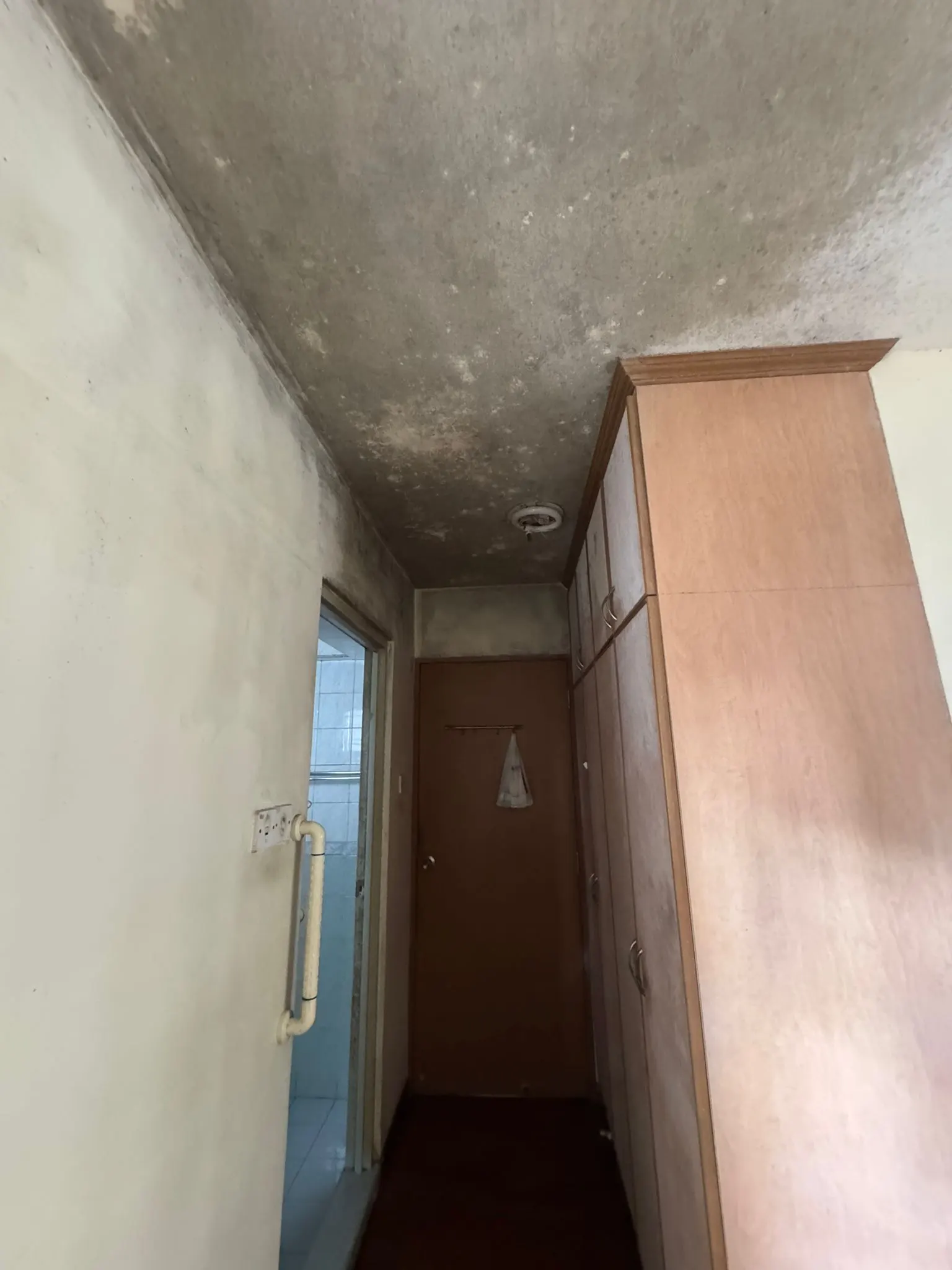 Mold affected bedroom ceiling before treatment