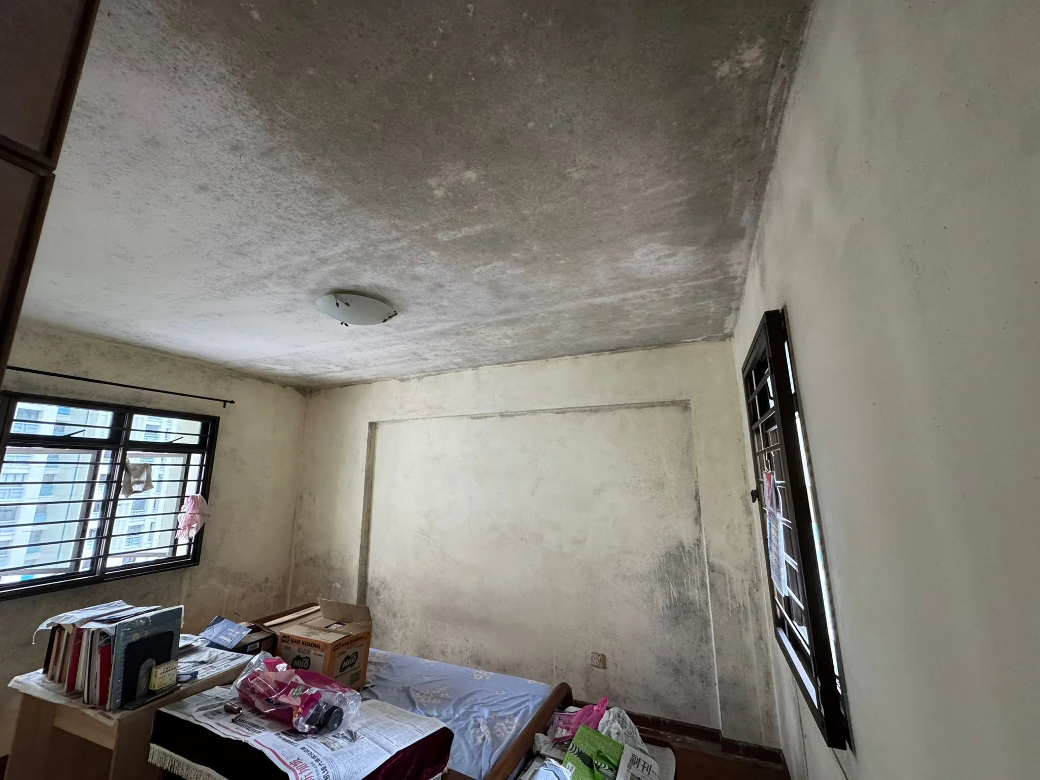 Severe mold on bathroom ceiling before treatment