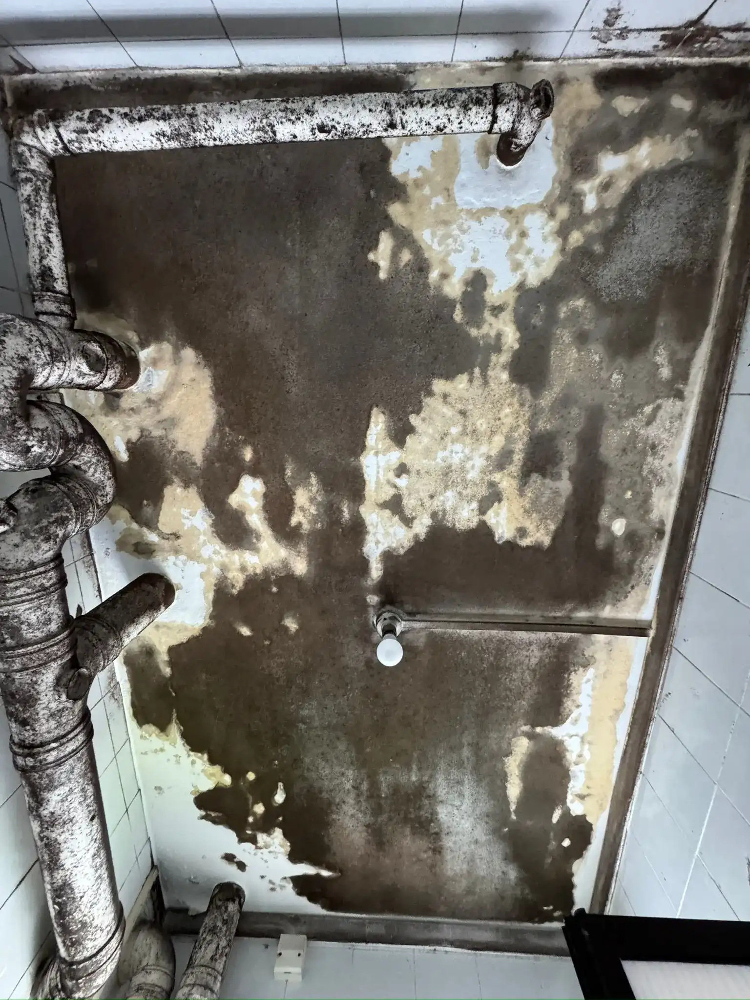 Severe mold on ceiling with pipes before treatment