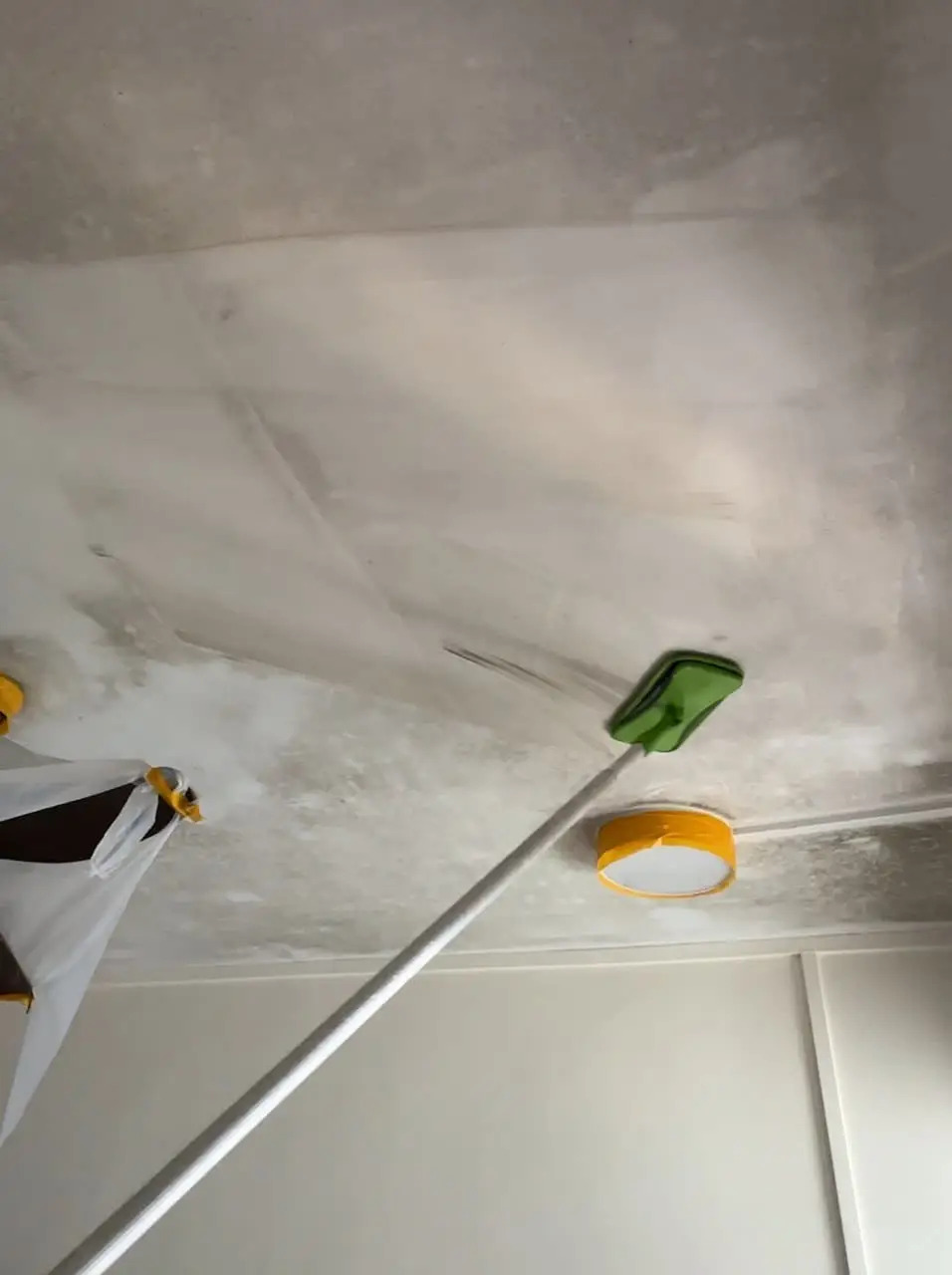 Workers cleaning mold from a surface with specialized equipment