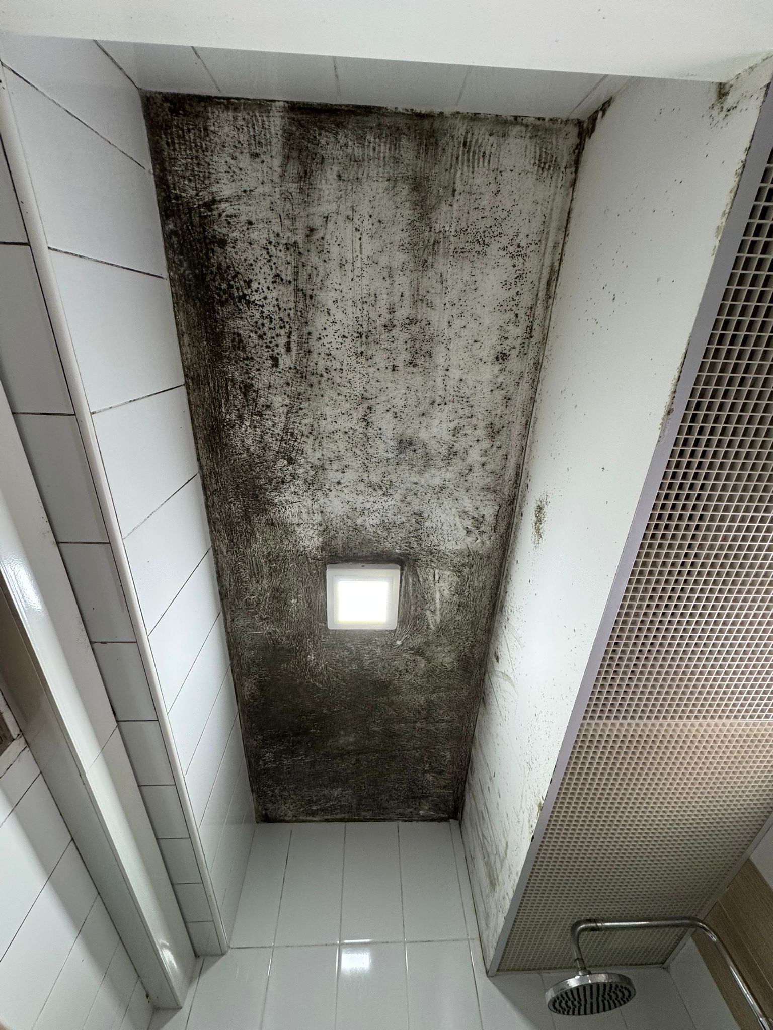 Severe black mold infestation on a bathroom ceiling in Singapore, requiring professional mold removal and anti-mold painting services by Tricoat Pte Ltd.