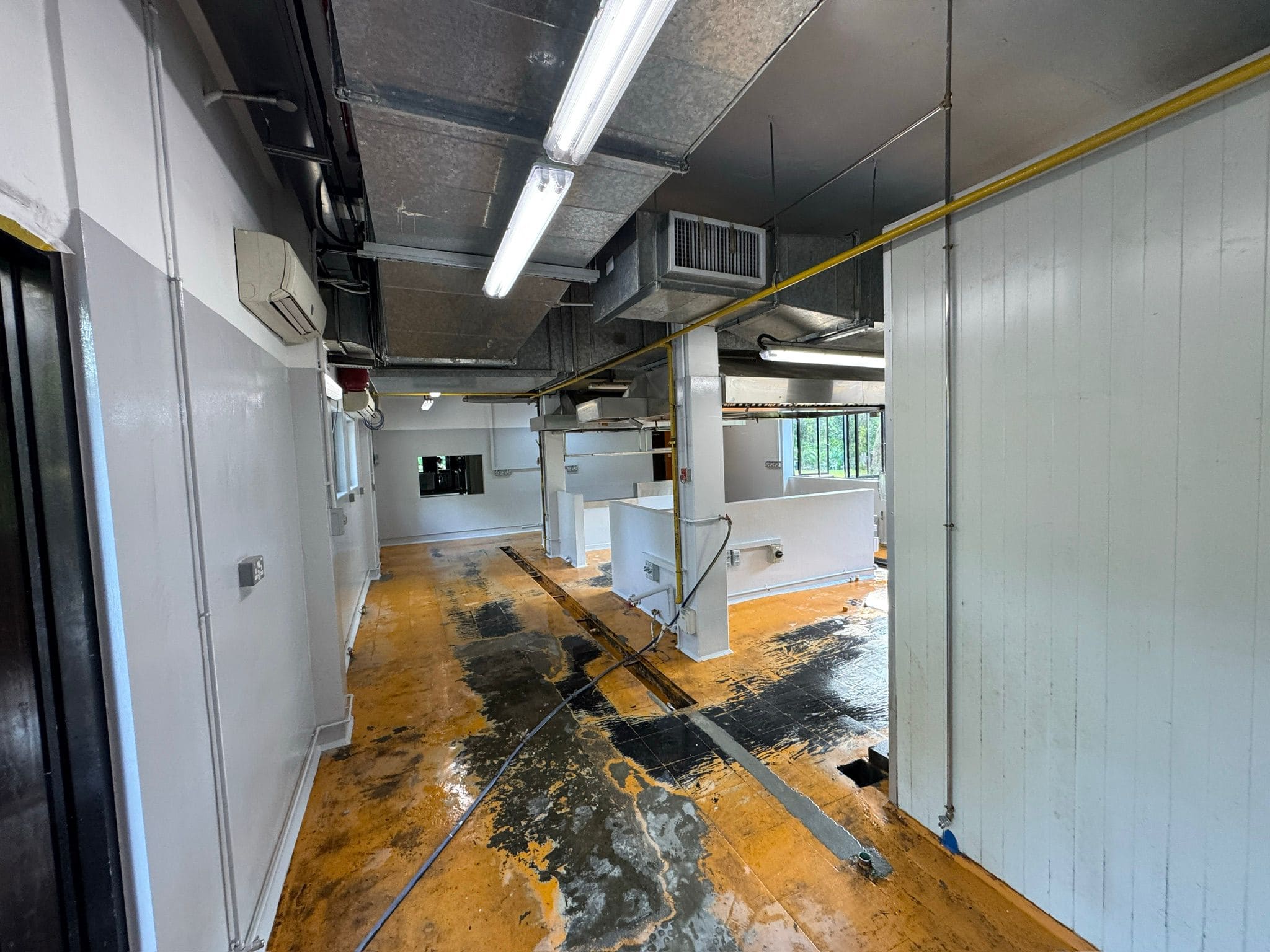 Tricoat's Painting Service fpr Curly's