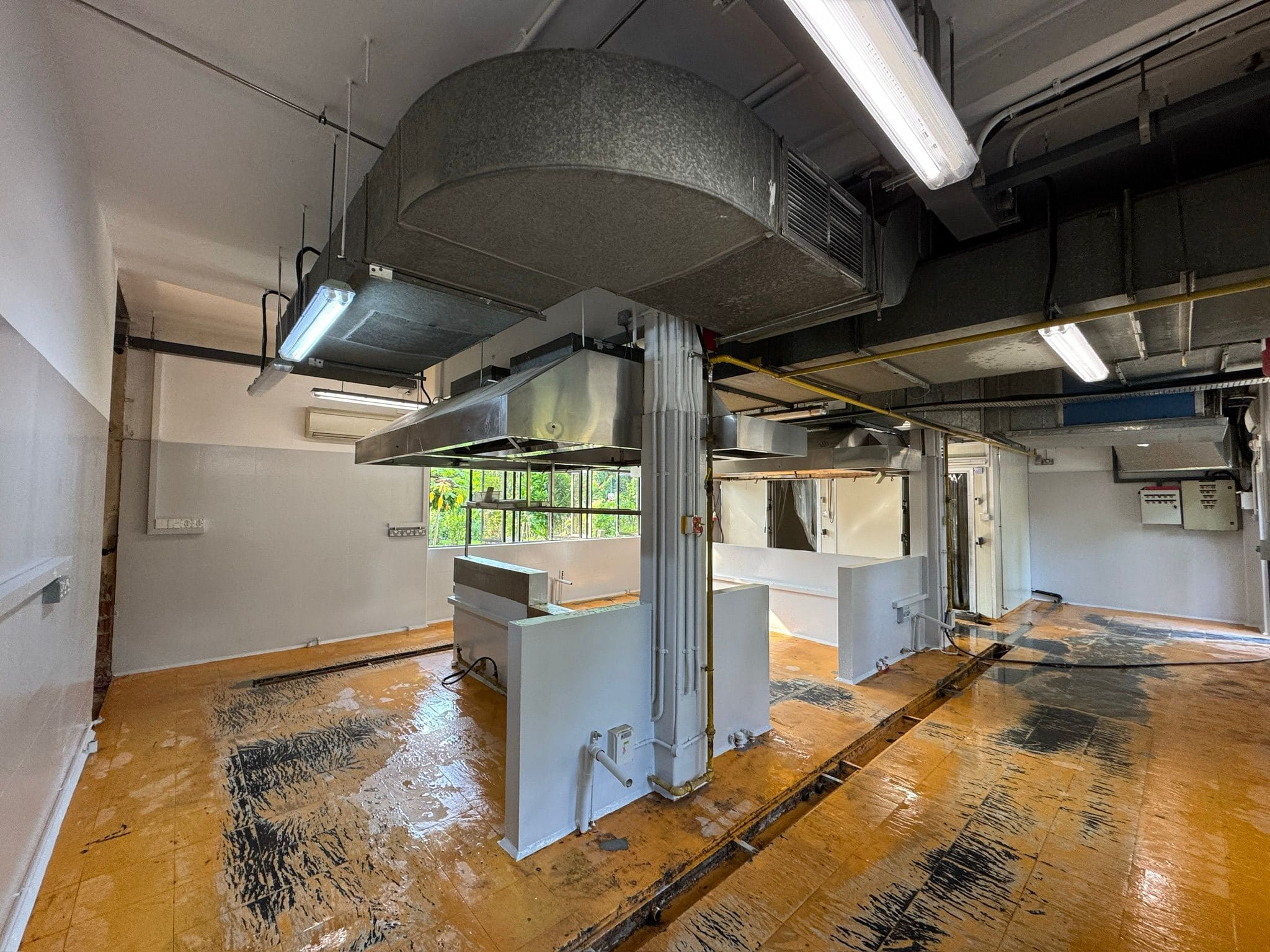 Tricoat's Painting Service fpr Curly's