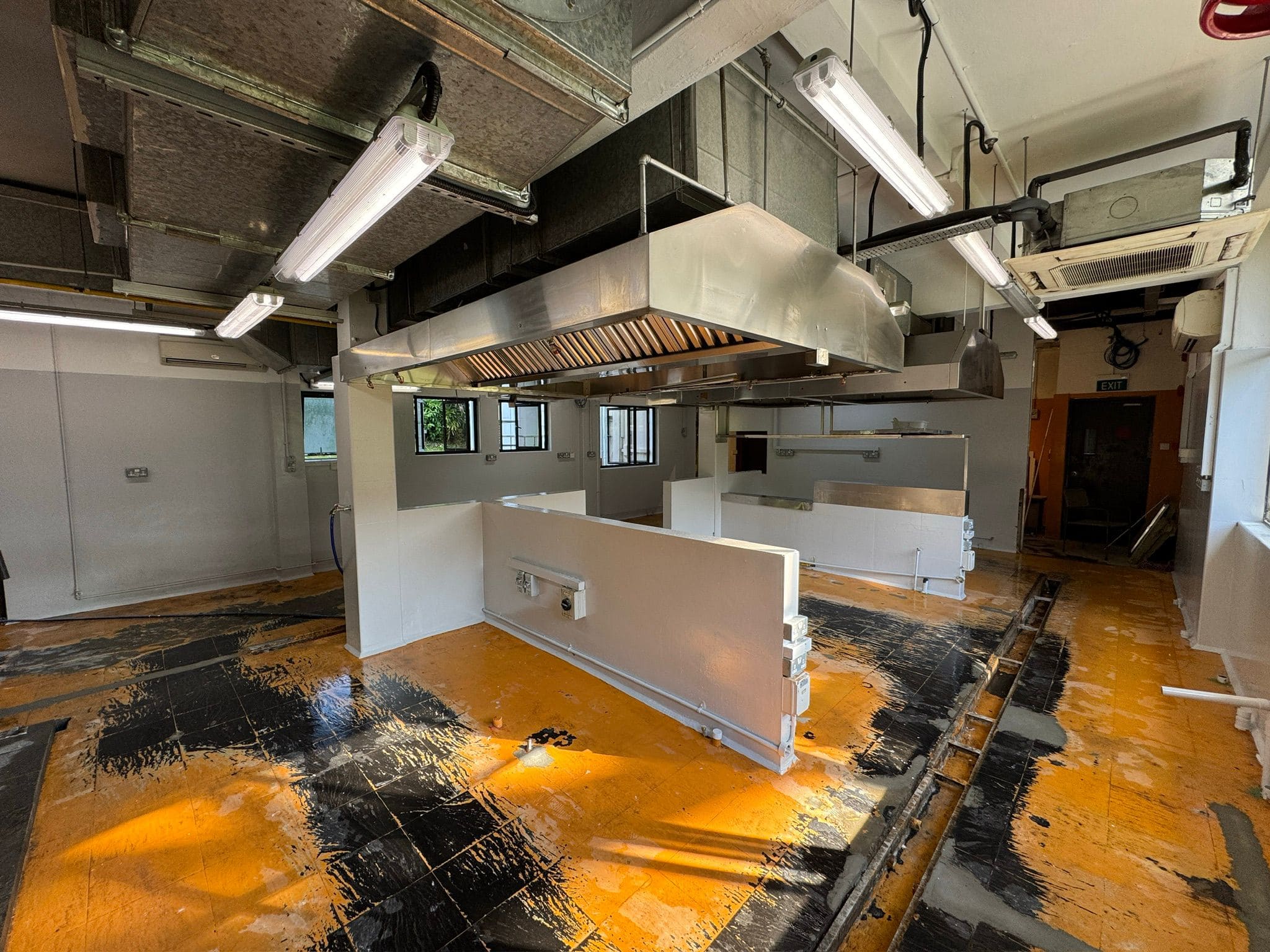 Tricoat's Painting Service fpr Curly's