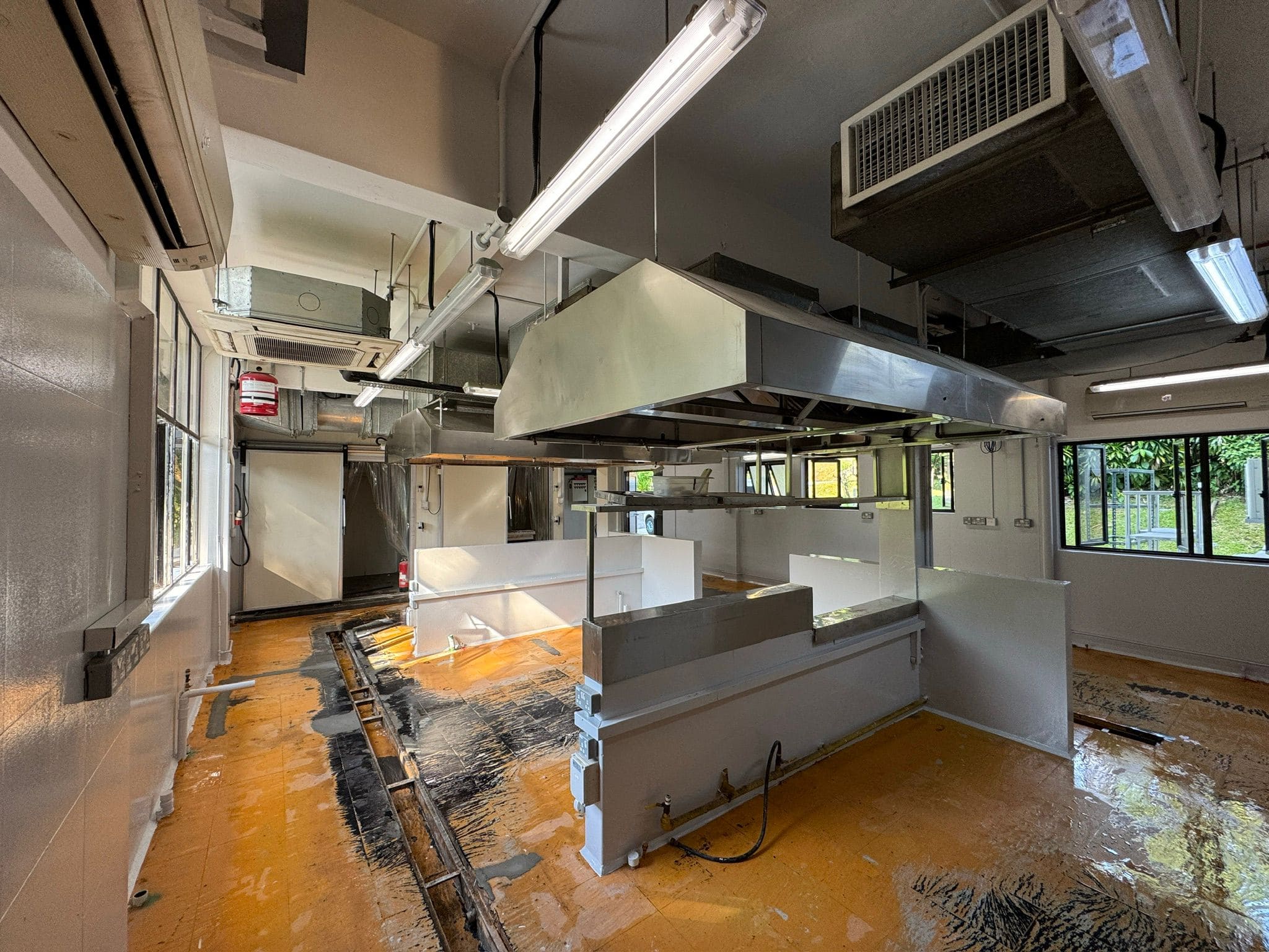 Tricoat's Painting Service fpr Curly's