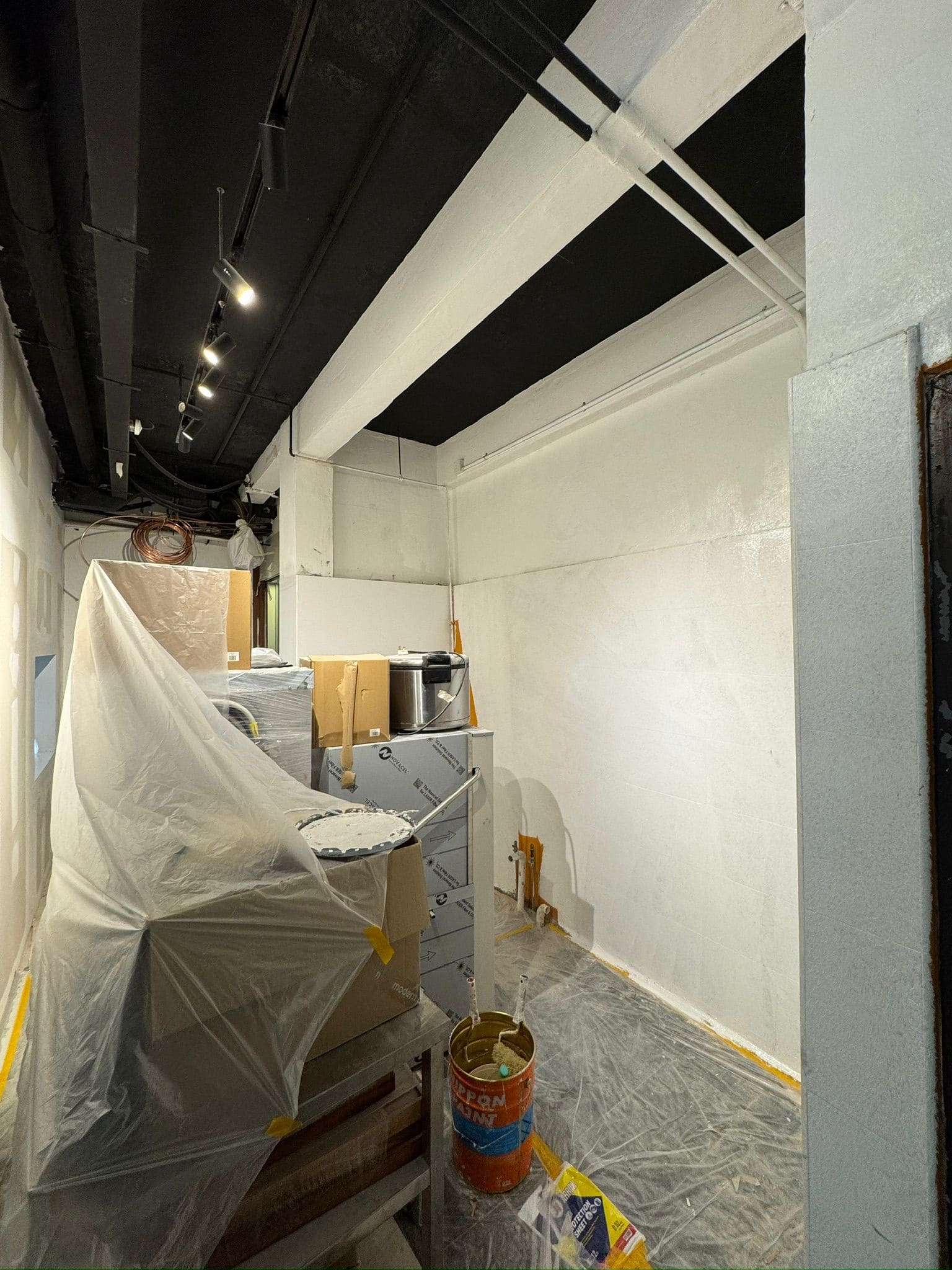 Tricoat's Painting Service fpr Curly's