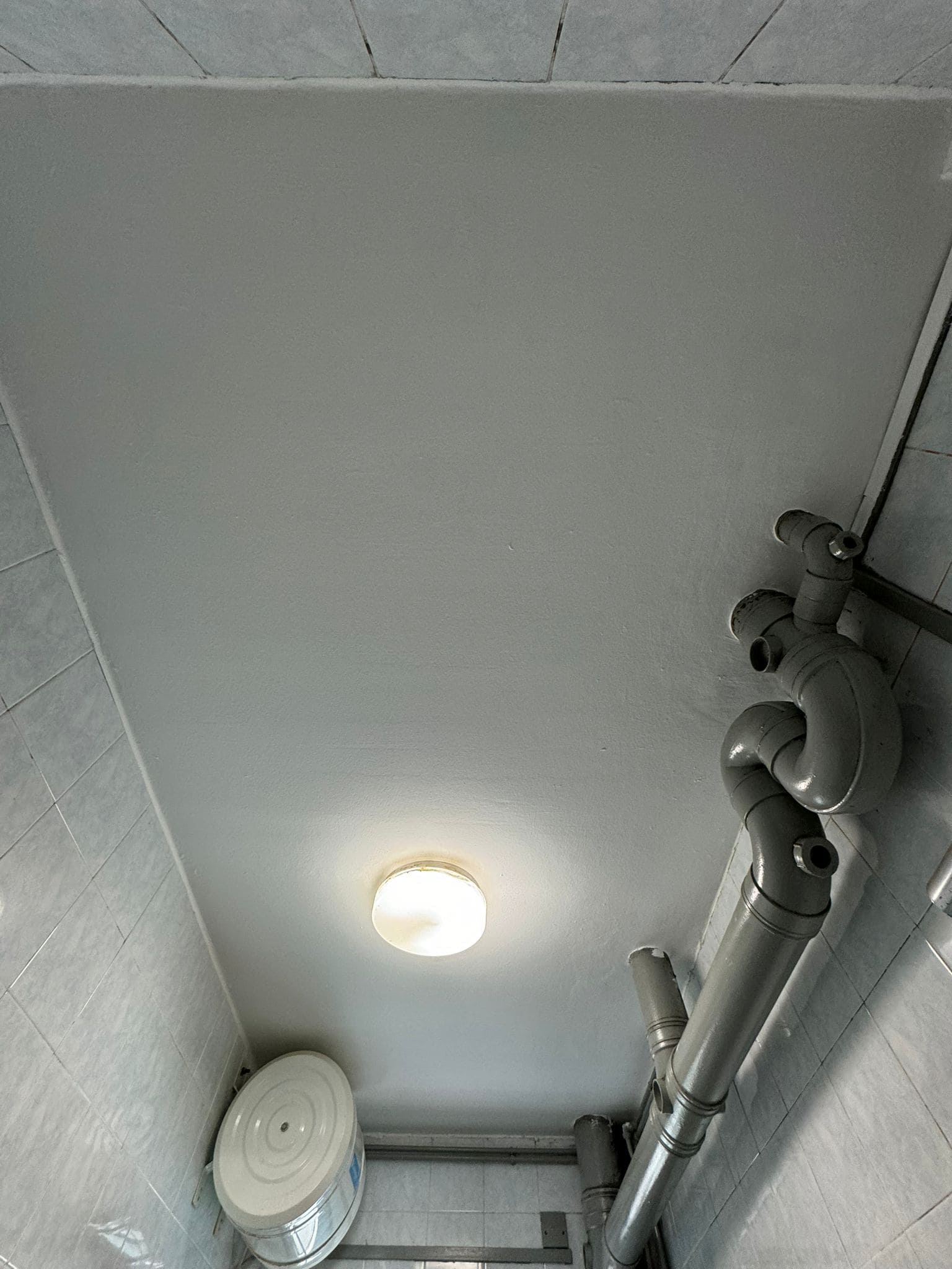 Tricoat mold remediation and anti-mold painting service