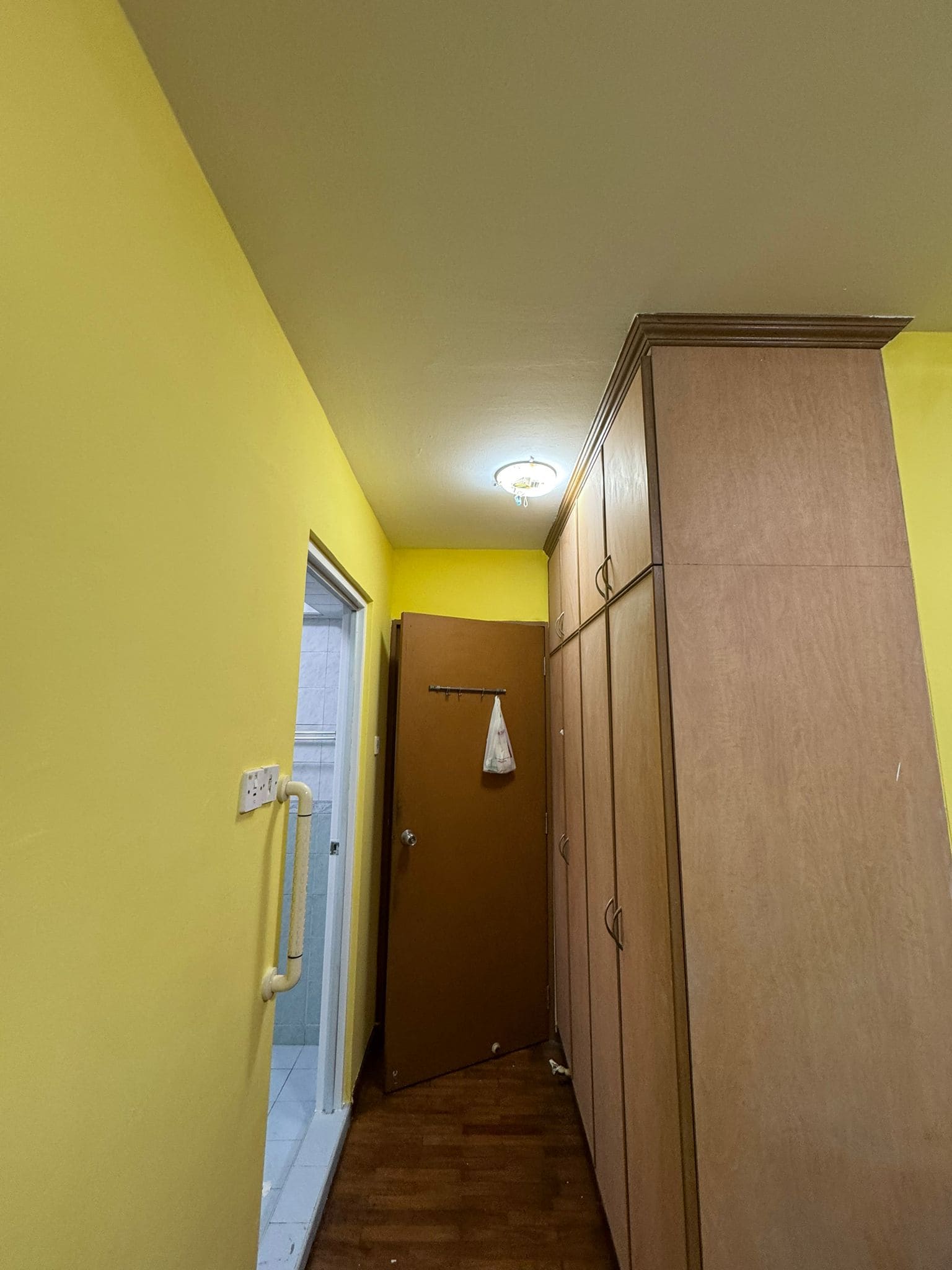 Tricoat mold remediation and anti-mold painting service