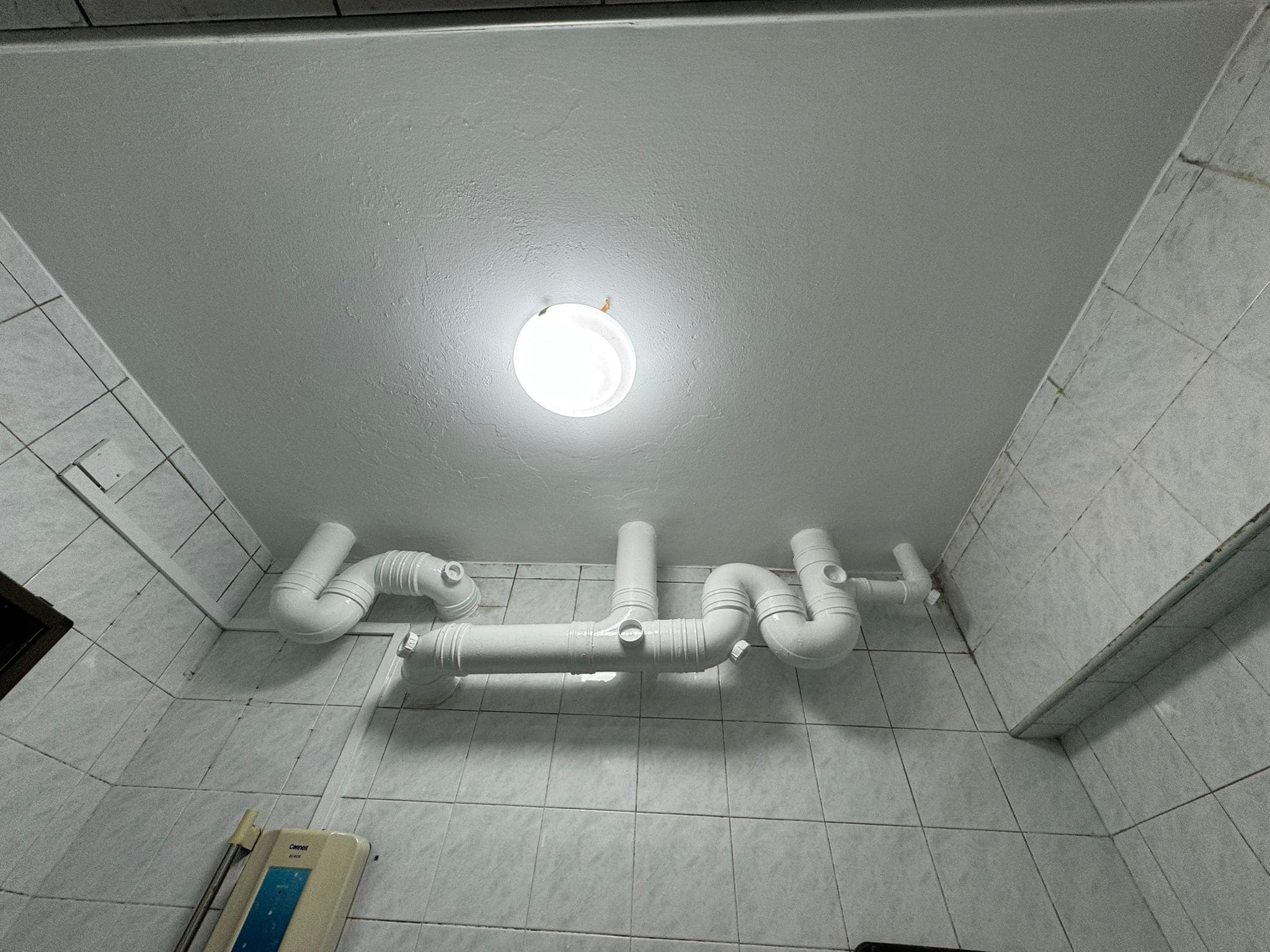 Tricoat mold remediation and anti-mold painting service