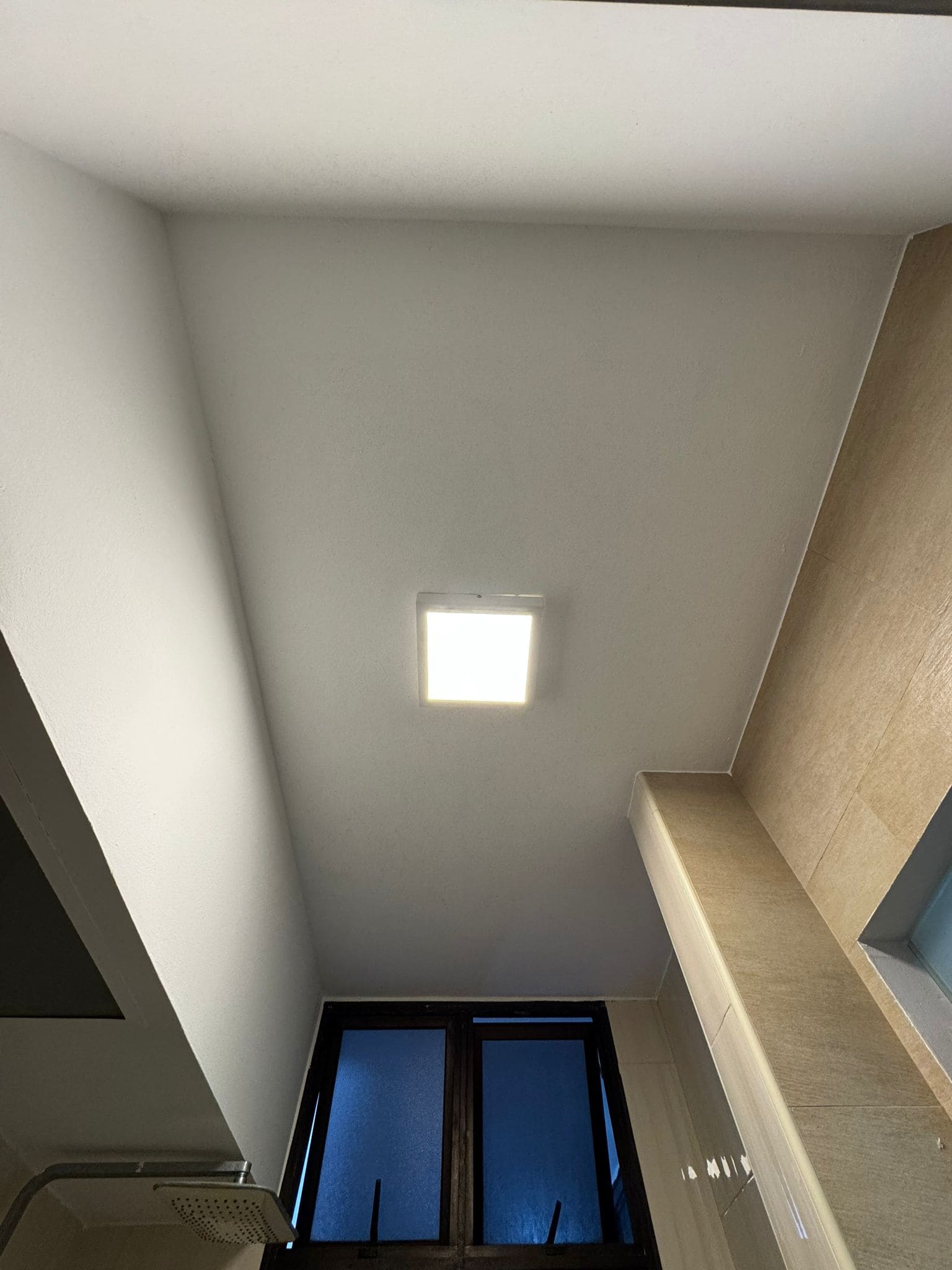 Tricoat mold remediation and anti-mold painting service