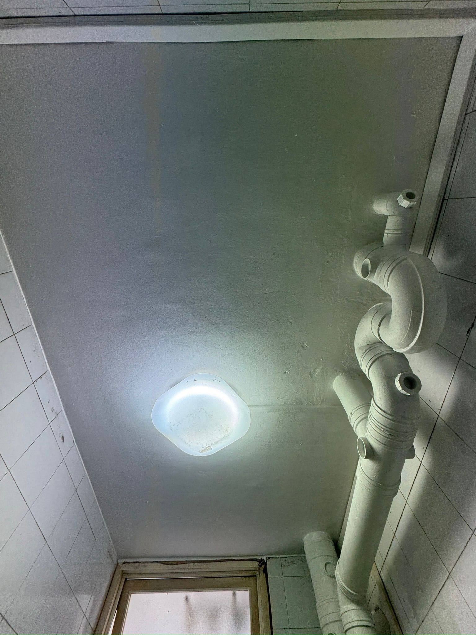 Tricoat mold remediation and anti-mold painting service